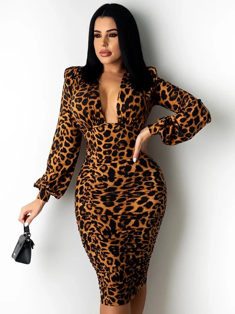 Leopard Print Dress